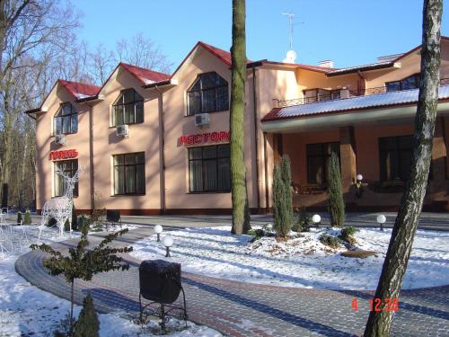 a building in the snow with birds in front of it at Hotel Complex Zelenyi Gai in Kopachuvka