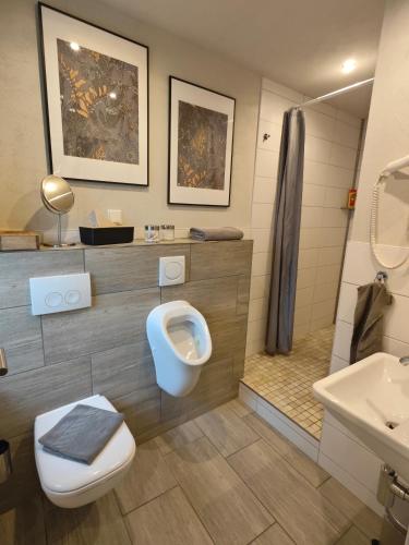 a bathroom with a toilet and a shower and a sink at Apartment Maiglöckchen in Fritzlar