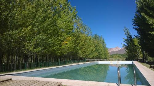 a swimming pool in a yard with trees at Cabañas Uspallata in Uspallata