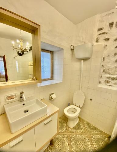a bathroom with a sink and a toilet and a mirror at Vojko Holidays - Rustika in Koper
