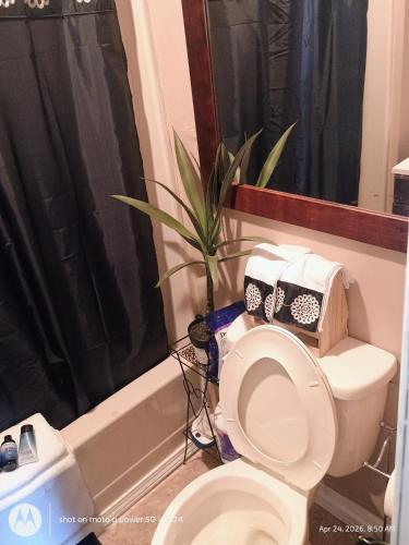 a bathroom with a toilet and a plant next to a tub at open arms in Elizabeth City