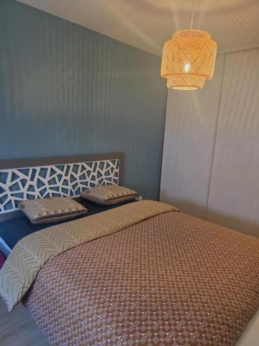 Logement confortable Lyon 3