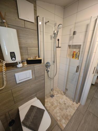 a bathroom with a shower and a toilet at Ferienapartment MIA in Fritzlar