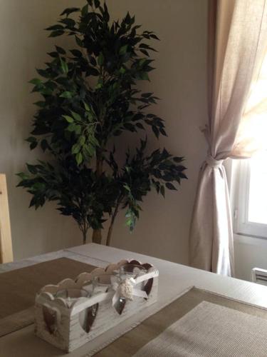 a wooden box sitting on a table with a plant at Apartment Limas in Avignon