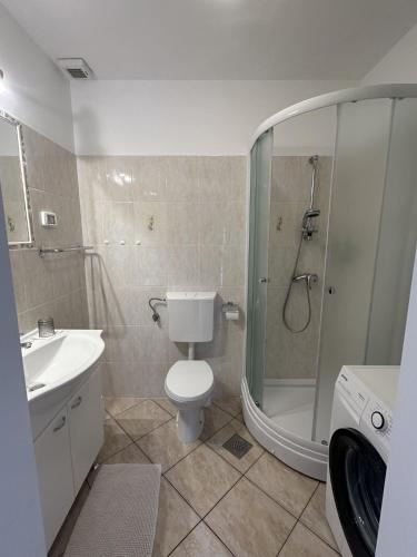 a bathroom with a shower and a toilet and a sink at Tourist Farm Robivera in Šmarje