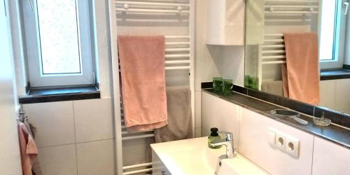 a bathroom with a sink and a mirror at Wohnen überm Atelier in Bad Neuenahr-Ahrweiler