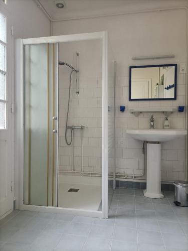 a bathroom with a shower and a sink at VILLA ESPERANZA Suite de plain-pied, indépendante, 1 à 4 personnes à 200 m du château de Valençay proche Zoo de Beauval et châteaux de La Loire in Valençay