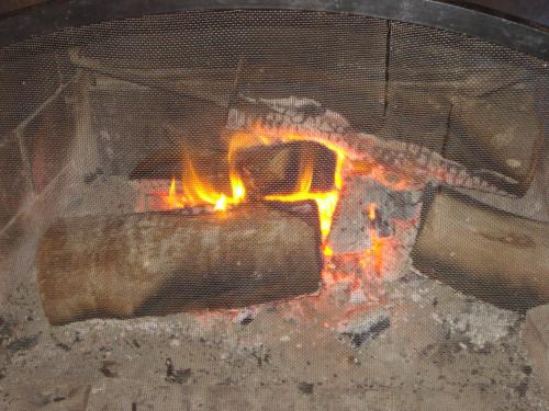 a person is cooking in an oven with flames at Cabañas Hoja de la Tierra in Chascomús