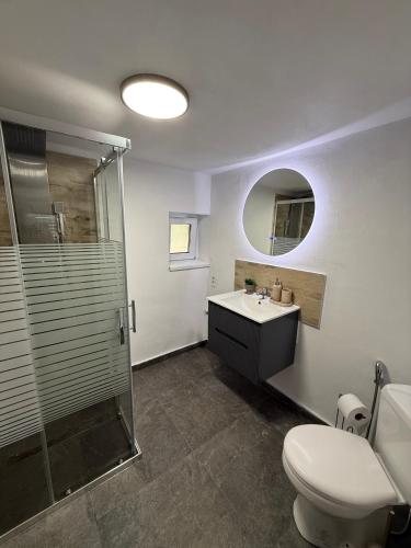 a bathroom with a shower and a toilet and a sink at Casa TeoMar in Brad