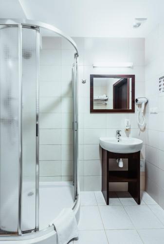 a bathroom with a shower and a sink at Dwór Dwikozy in Sandomierz