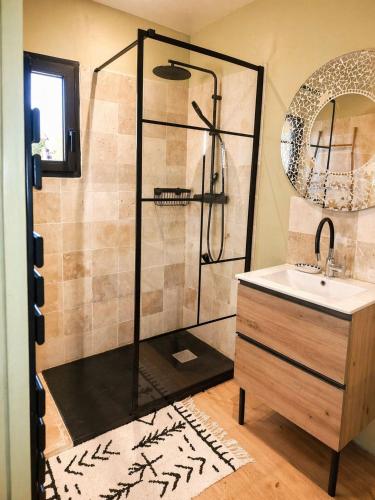 a bathroom with a shower and a sink at le clos d'Yrem in La Rochegiron