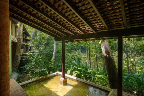 a house in the jungle with a pool of water at Sama Retreats - Kosgoda in Kosgoda