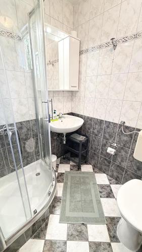 a bathroom with a shower and a sink and a toilet at Diving Apartments in Molunat