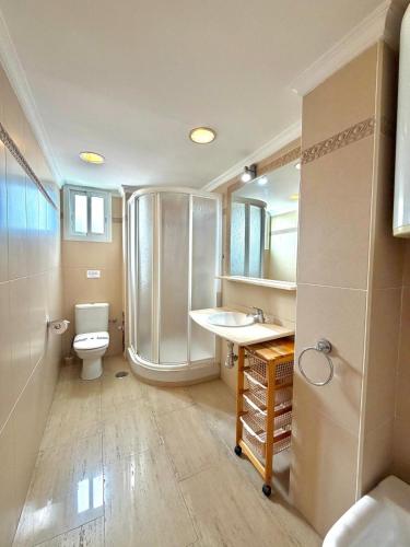 a bathroom with a shower and a toilet and a sink at Terrasol San Francisco 5ª Planta in Torre del Mar