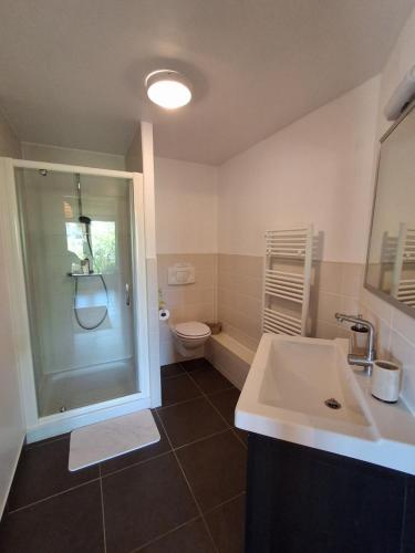a bathroom with a shower and a sink and a toilet at La Source de Diège in Loupiac