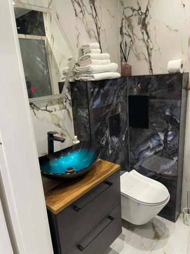 a bathroom with a blue sink and a toilet at Sikalafo in Płock