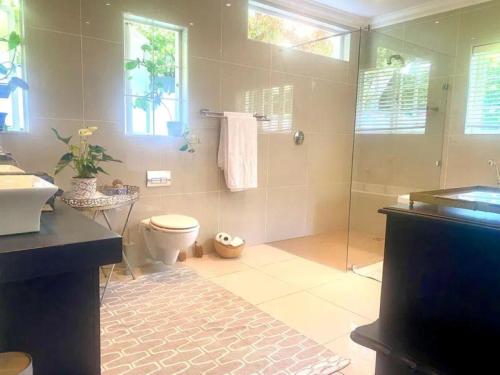 a bathroom with a shower and a toilet and a sink at Hout Bay Gem 61 Milner in Hout Bay