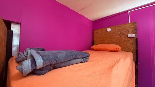 a bedroom with a pink wall and a bed at Pink Kraken Hostel in Ban Nong Chaeng