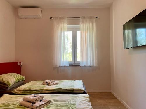two beds in a room with a window at Boutique Apartment with Private Heated Pool in Novigrad Istria