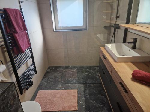 a bathroom with a sink and a toilet and a mirror at Haus Rupitsch in Winklern