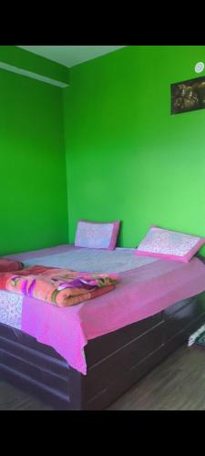 a green bedroom with a large bed with pink sheets at Devansh Homestay &Cafe in Kulu