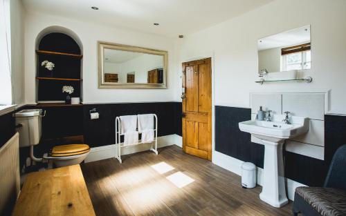 a bathroom with a sink and a toilet and a mirror at No.8 Accommodation in Chepstow