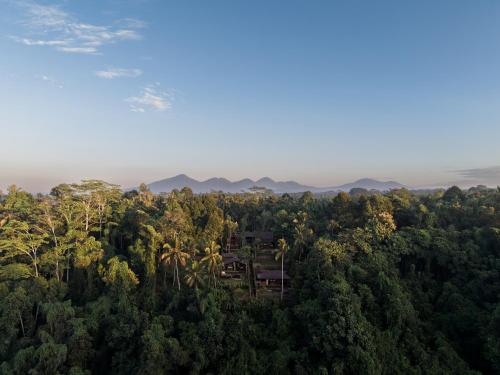 an aerial view of a forest with mountains in the background at Bumi Kabins Ubud in Tegalalang