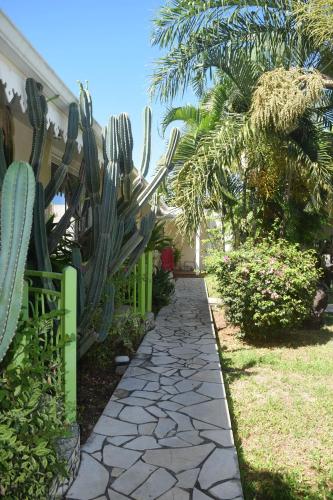 a garden with cactus and a stone walkway at Relais Fenua in Punaauia
