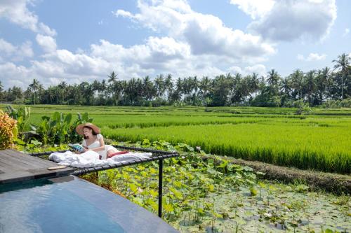 thewakanda Resort A Pramana Experience — Pool view