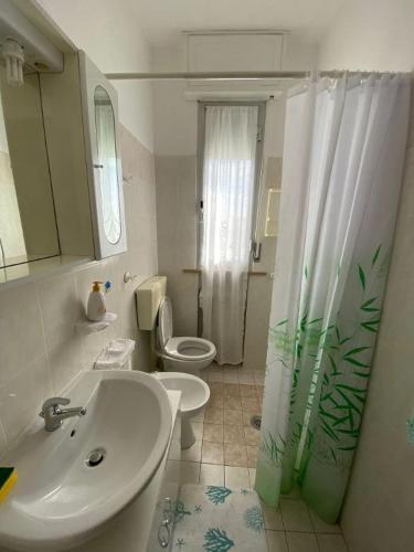 a bathroom with a sink and a toilet and a shower at VARIE STRUTTURE Queste strutture NON FORNISCE lenzuola da letto e asciugamani in Lido Adriano