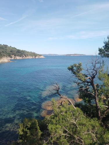 tres beau T1