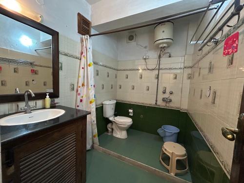 a bathroom with a sink and a toilet and a mirror at Lloyd's Vintage Home in Bhowāli