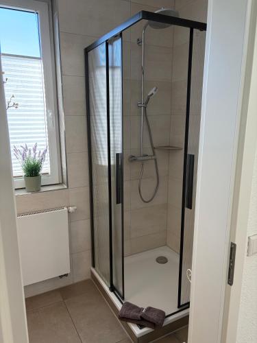 a shower with a glass enclosure in a bathroom at Feriennest am Meer Warnemünde in Warnemünde