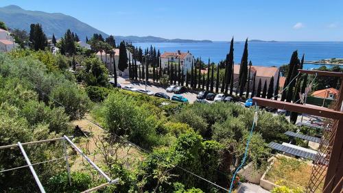 Apartments Kust