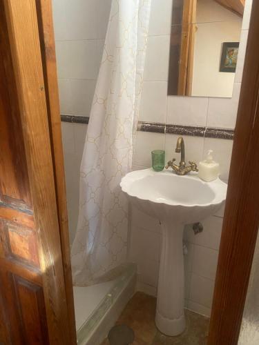 a bathroom with a sink and a mirror and a shower at Espacio Rural Los Castaños in Cercedilla