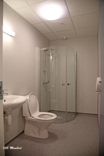 a bathroom with a toilet and a shower and a sink at Lyngmo Hytter in Hafslo