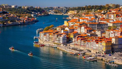 Oporto Campo Alegre by Hopstays