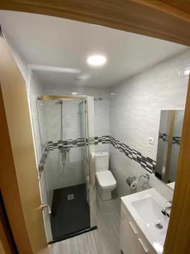 a bathroom with a shower and a toilet and a sink at Rooms Capulino in Málaga