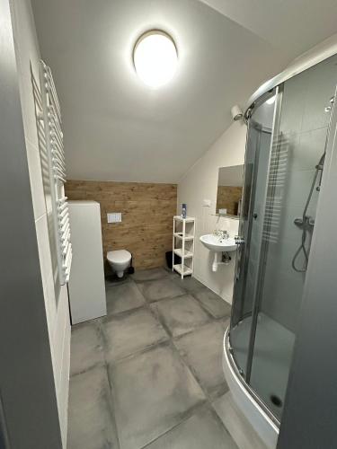 a bathroom with a shower and a toilet and a sink at Jurajska Przystań in Jastrząb