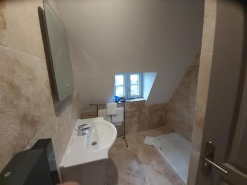 a bathroom with a sink and a toilet and a window at Manoir Saint-Eloi in Noyon