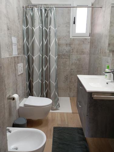 a bathroom with a toilet and a sink and a shower at Punta sul Garda in Torri del Benaco