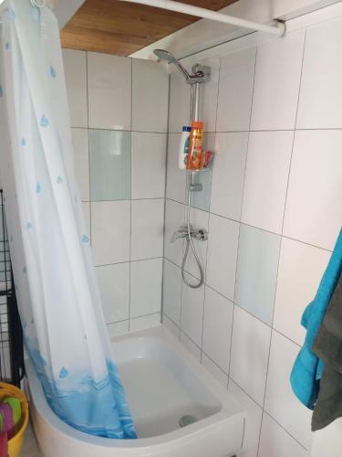 a shower with a blue shower curtain in a bathroom at Pehely Vendégház in Lesencetomaj