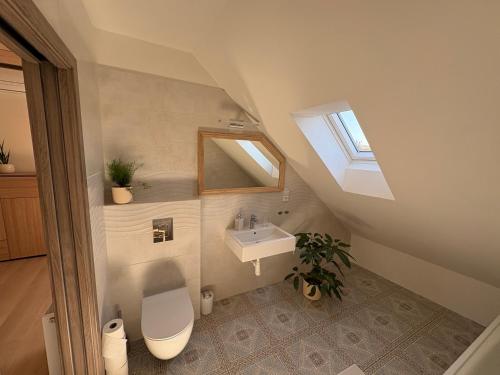 an attic bathroom with a toilet and a sink at Apartmán Ve Štítu in Lomnice nad Popelkou