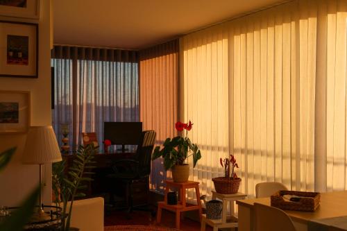 Oporto Studio Sunset