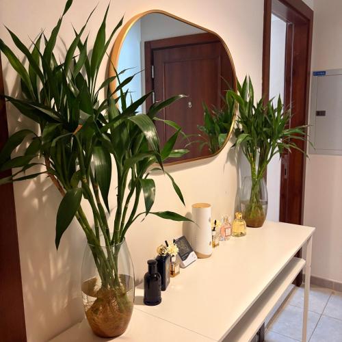 a bathroom counter with a mirror and plants on it at Lana's Studio in King Abdullah Economic City