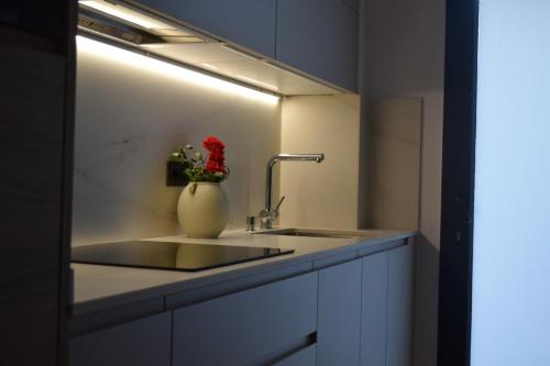 a bathroom with a sink and a vase with a red flower at OE concept in Guernica y Luno