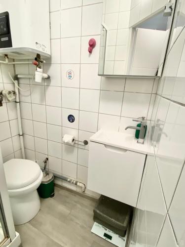 A cosy studio in Paris near Buttes Chaumont Park