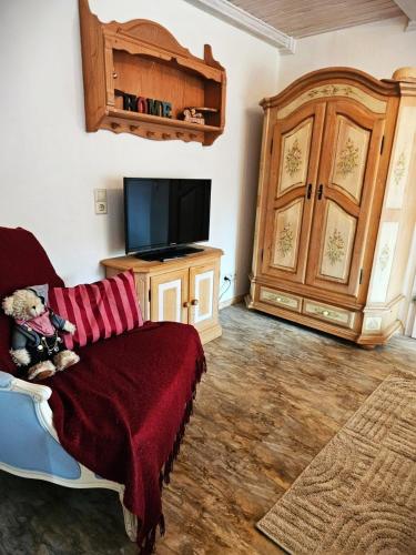 a living room with a couch and a tv at FeWo Alpenstube in Neue Scheune