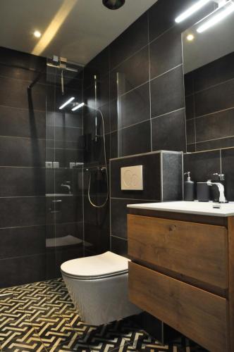 a bathroom with a shower and a toilet and a sink at B&B Slotstraat in Dreischor