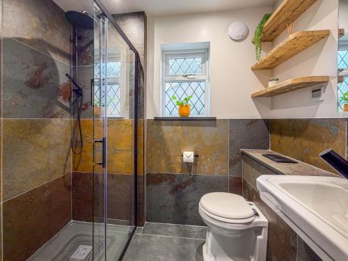 a bathroom with a shower and a toilet and a sink at Potter's Wheel, by the lake in High Nibthwaite
